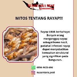 JASA ANTI RAYAP - JASA PEST CONTROL - JASA FOGGING - JASA PEMBASMI HAMA - JASA FUMIGASI